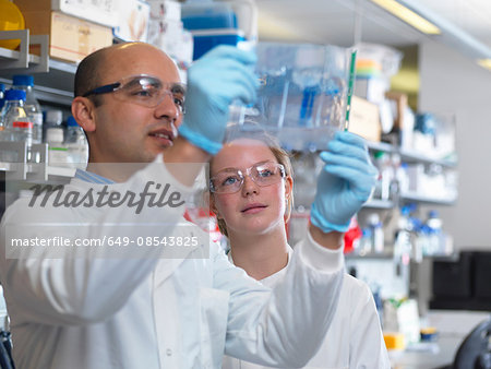 Scientists viewing a protein gel, Jenner Institute, Oxford University