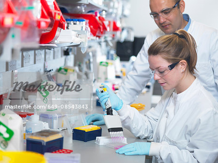 Scientist using multi-channel pipette to fill multiwell plate for analysis of antibodies by ELISA assay, Jenner Institute, Oxford University