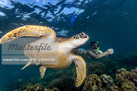 Young woman swimming with rare green sea turtle (Chelonia Mydas), Moalboal, Cebu, Philippines