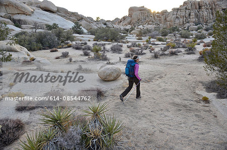 Hiker exploring Mojave Desert, Joshua Tree National Park, California