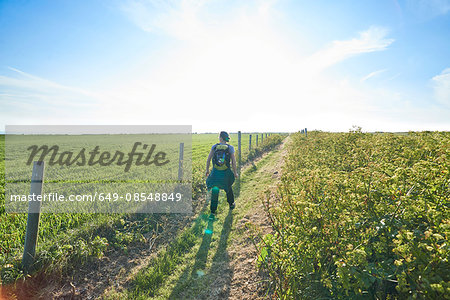 Rear view of hiker with backpack hiking on path in field