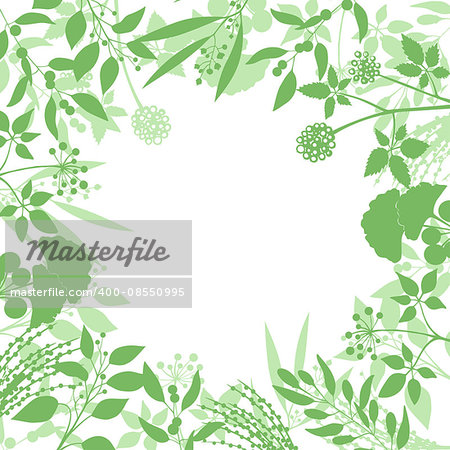 Green square background with collection of plants. Silhouette of herbs branches isolated on white background