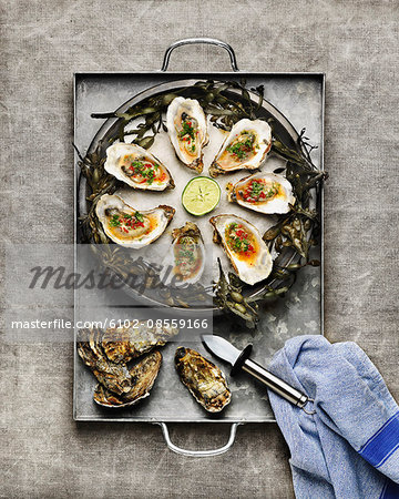 Oysters on plate