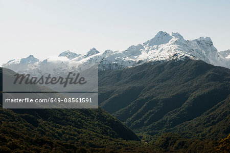 Forests on snowy mountains