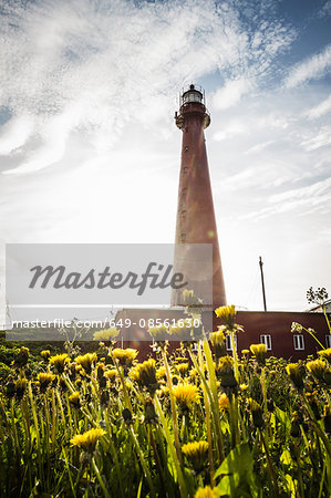 Lighthouse overlooking grassy field