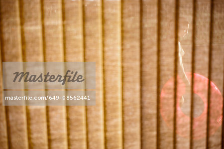 Woman holding inflatable ring seen through window blinds