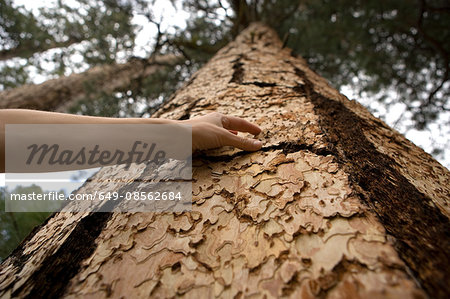 Woman touching tree bark