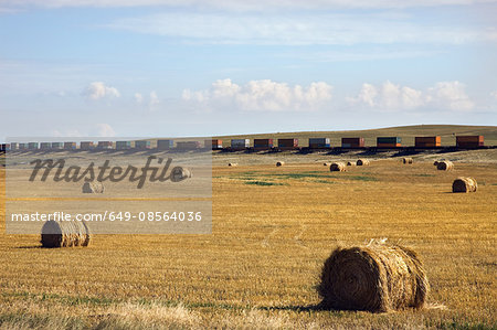 Bales of hay in field with freight train in distance