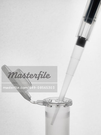 Pipette and eppendorf vials Pipette and eppendorf vials