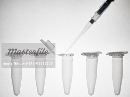 Pipette and eppendorf vials