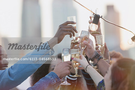 Young adult friends toasting champagne flutes at party