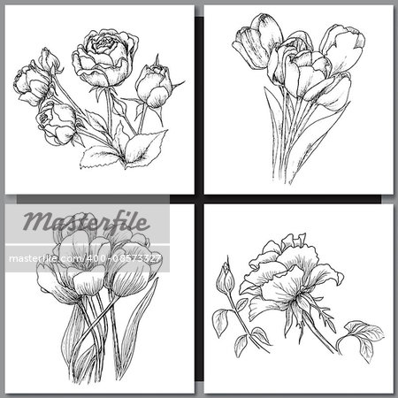 Set of Romantic vector background with hand drawn flowers isolated on white.  Ink drawing illustration. Line art sketching. Floral design for wedding invitations, cards, congratulations, branding.