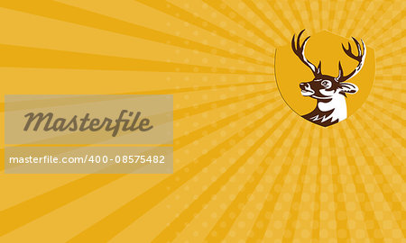 Business card showing illustration of a whitetail deer buck stag head looking to the side set inside shield crest done in retro style.