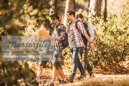 Four male hikers reading map whilst hiking in forest, Deer Park, Cape Town, South Africa
