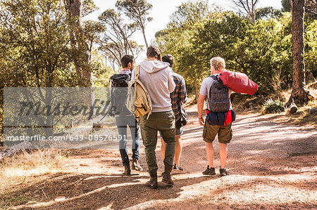 Rear view of four men hiking in forest, Deer Park, Cape Town, South Africa