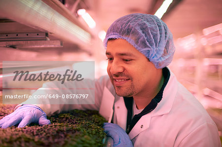 Worker wearing hair net checking vegetables growing in artificial light smiling