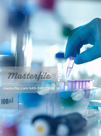 A eppendorf containing a sample used in analytical chemistry and DNA extraction awaiting testing in a laboratory A eppendorf containing a sample used in analytical chemistry and DNA extraction awaiting testing in a laboratory