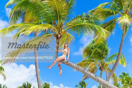 Young woman wearing bikini sitting at top of palm tree, Dominican Republic, The Caribbean
