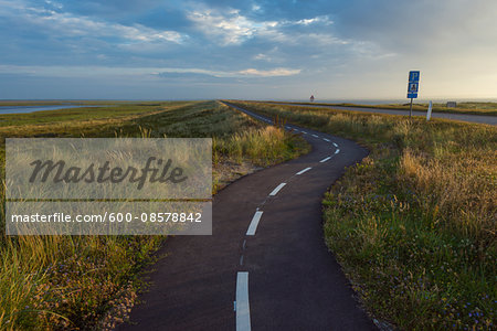 Winding Bikeway on Headland in the Morning, Thy National Park, Agger, North Jutland, Denmark