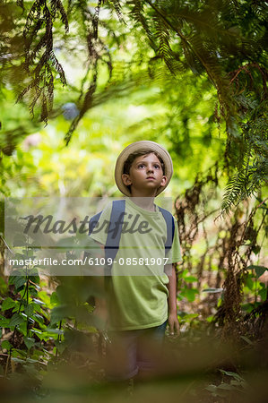 Boy standing in forest