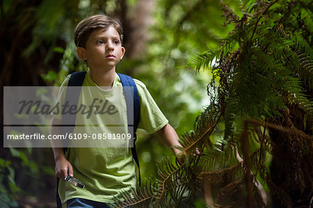 Boy walking in forest