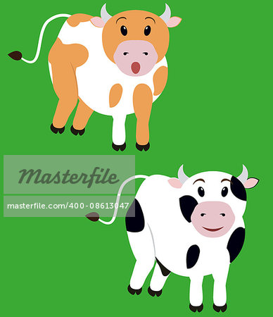 two cute fun spotted cow,  isolated cartoon calf