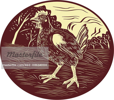 Illustration of a hen in a farm with trees in the background set inside oval shape done in retro woodcut style.