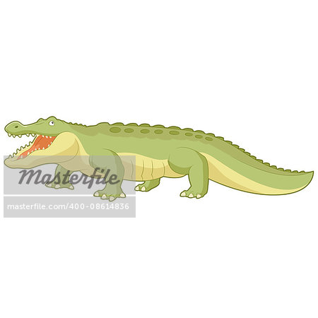 Vector image of the Cartoon green alligator