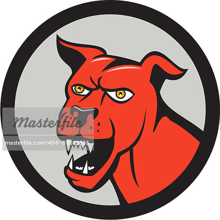 Illustration of a red mastiff dog mongrel head barking set inside circle on isolated background done in cartoon style.