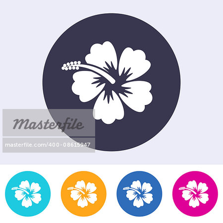 Vector hibiscus blossom icon on round colorful buttons