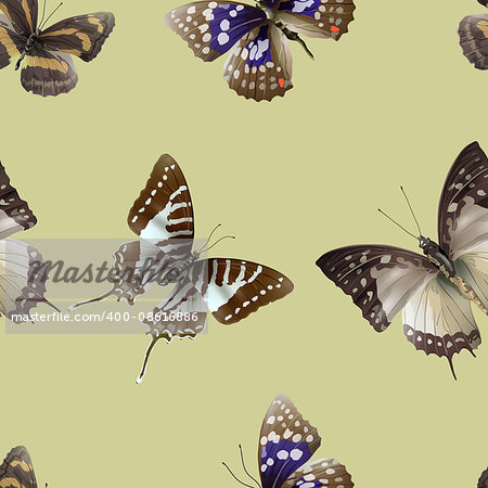Seamless pattern from butterflies, vector illustration, clip-art