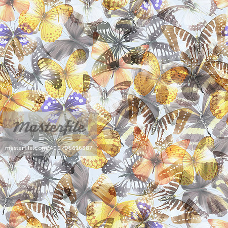 Seamless pattern from butterflies, vector illustration, clip-art