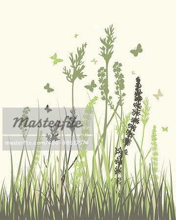 Summer meadow background. Vector illustration without transparency and meshes.