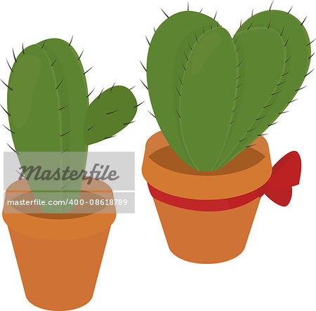 Cactus in pot, home green  flora, prickly plant, spiny