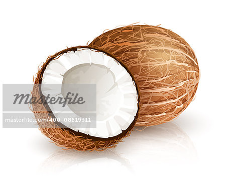 Coconut tropical nut fruit with cut, eps10 vector illustration isolated white background