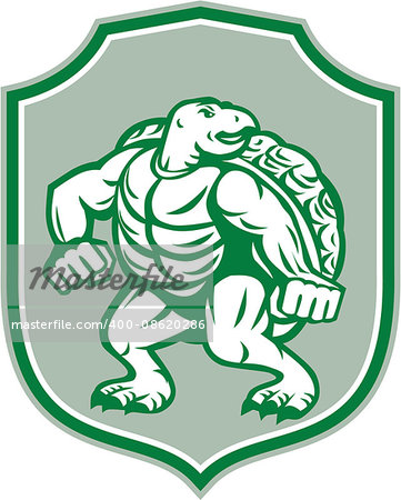 Illustration of a green turtle in fighting stance looking to the side set inside shield crest on isolated background done in retro style.