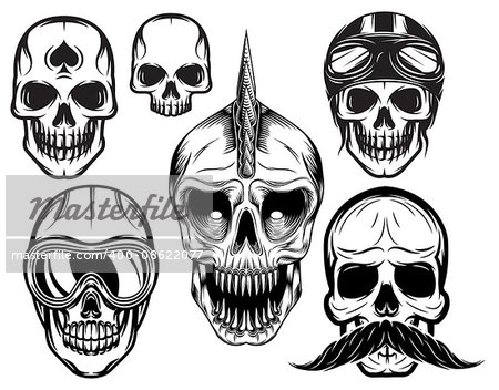 a set of six different skulls for design