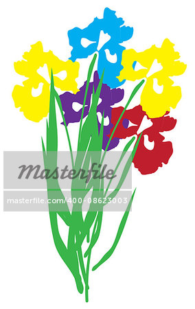 vector illustration of an iris flower