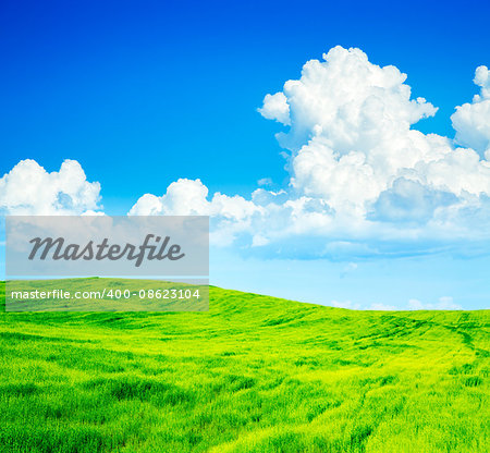 Summer Green Field on the Background of Beautiful Clouds and Blue Sky. Copy Space. Agriculture Concept. Summer Green Field on the Background of Beautiful Clouds and Blue Sky. Copy Space. Agriculture Concept.
