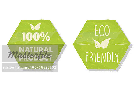 100 percent natural and eco friendly with leaf sign in green hexagons labels, bio ecology concept