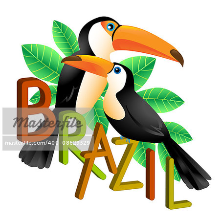 Two colorful toucans sitting on a branch,vector illustration isolated on white. Brazil