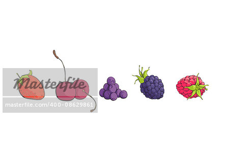 Bright berries on white background