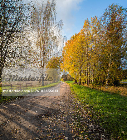 Sweden, Sodermanland, Stigtomta, View of country road in autumn