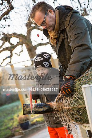 Sweden, Sodermanland, Alvsjo, Father with son (6-7) sawing fir tree on backyard