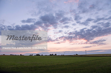 Sweden, Skane, Osterlen, Skillinge, Ostangard, Scenic view of green field and purple sky at dusk