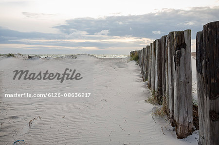 Sweden, Skane, Skanor, Wooden poles sticking out of sand