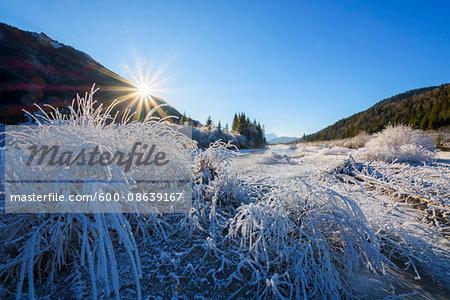 River Isar in Winter with Sun and Hoar Frost, Isar Valley, Karwendel, Vorderriss, Upper Bavaria, Bavaria, Germany