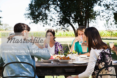 Friends enjoying meal together outdoors