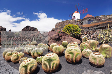 Cactus garden Jardin de Cactus by Cesar Manrique, wind mill, UNESCO Biosphere Reserve, Guatiza, Lanzarote, Canary Islands, Spain, Atlantic, Europe