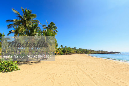 Golden beach and palm tree's at Hulopo'e Beach Park, Lanai Island, Hawaii, USA